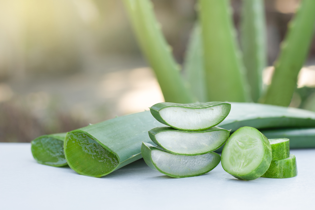 Aloe vera leaf and cucumber