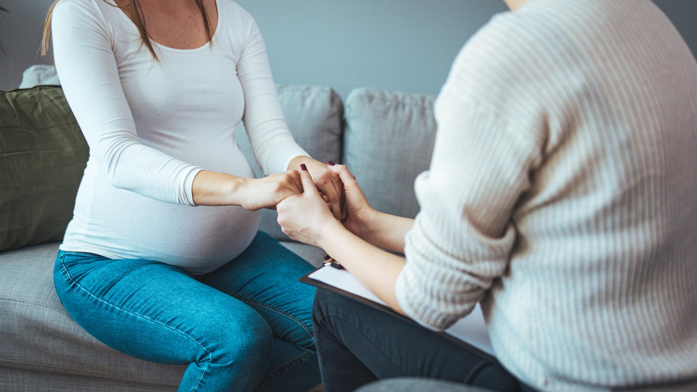 Pregnant woman on home counselling meeting.