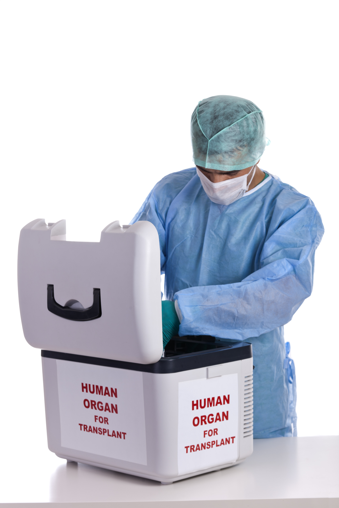 Human Organ For Transplant