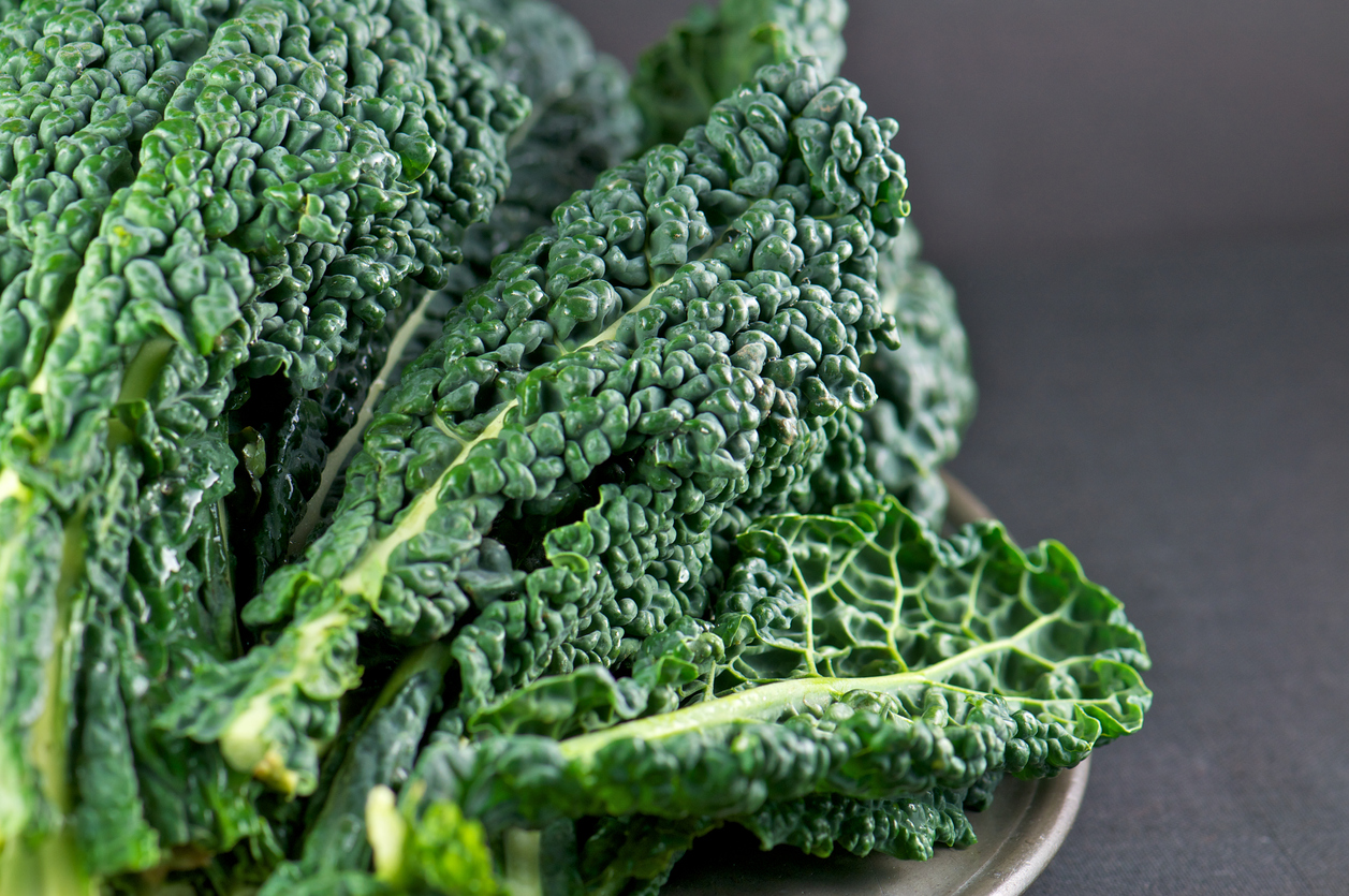 Plate of Fresh Dinosaur Kale Leaves