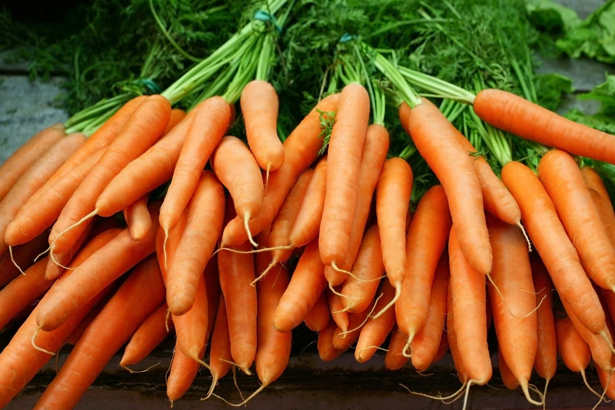 Bundles of organic carrots with the stems still attached