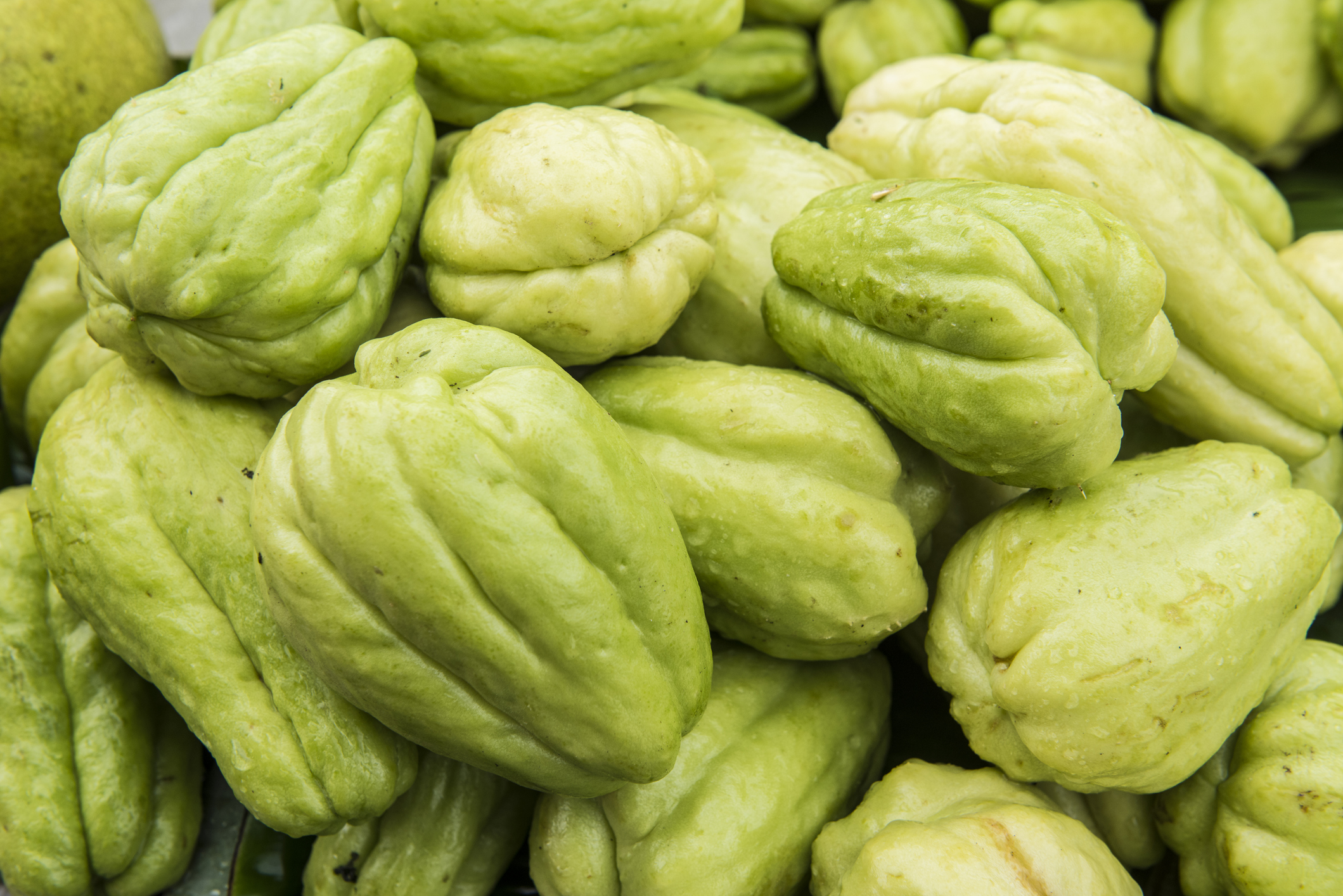 Pile of Chayote fruits for sale