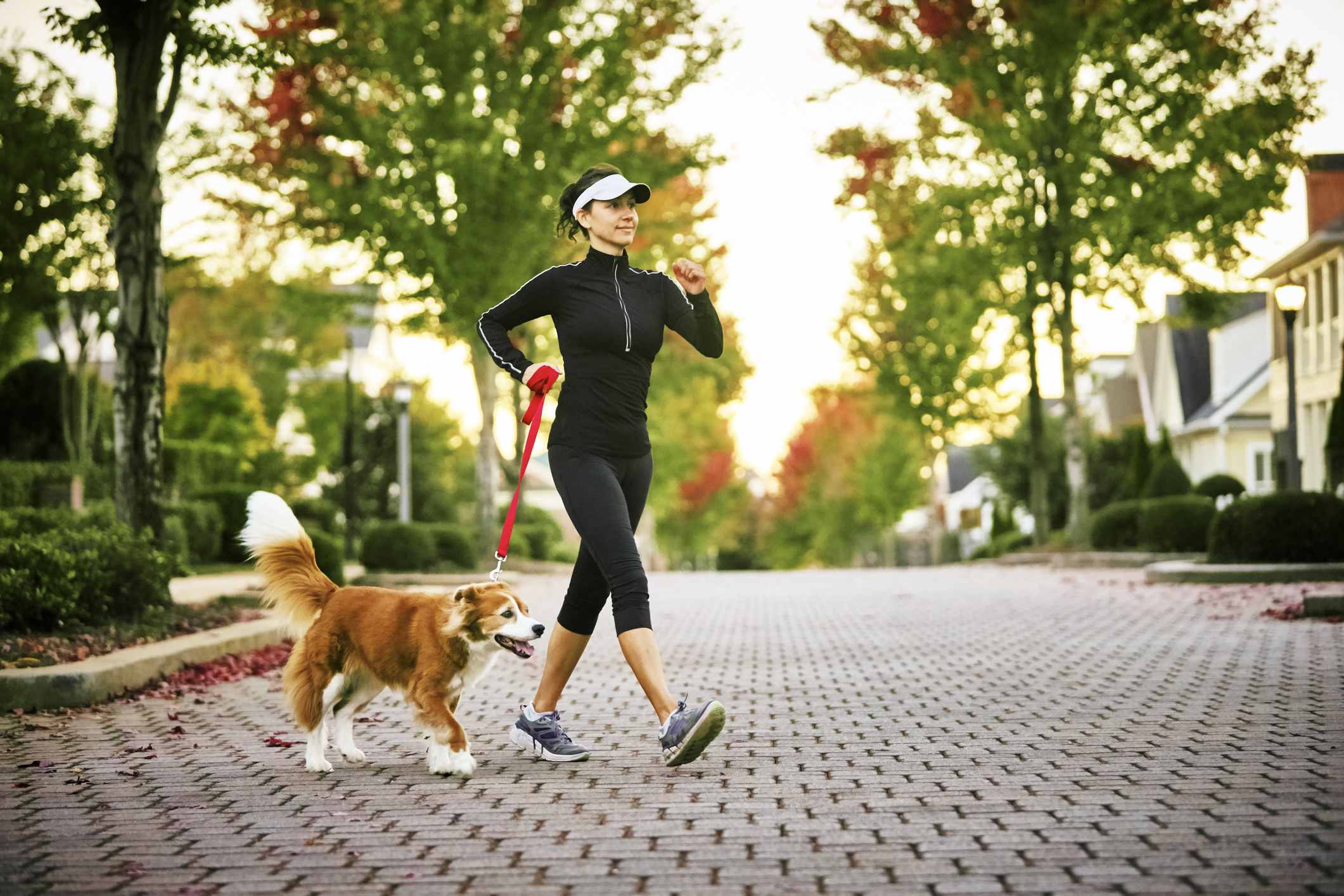 Young Woman Walking Dog