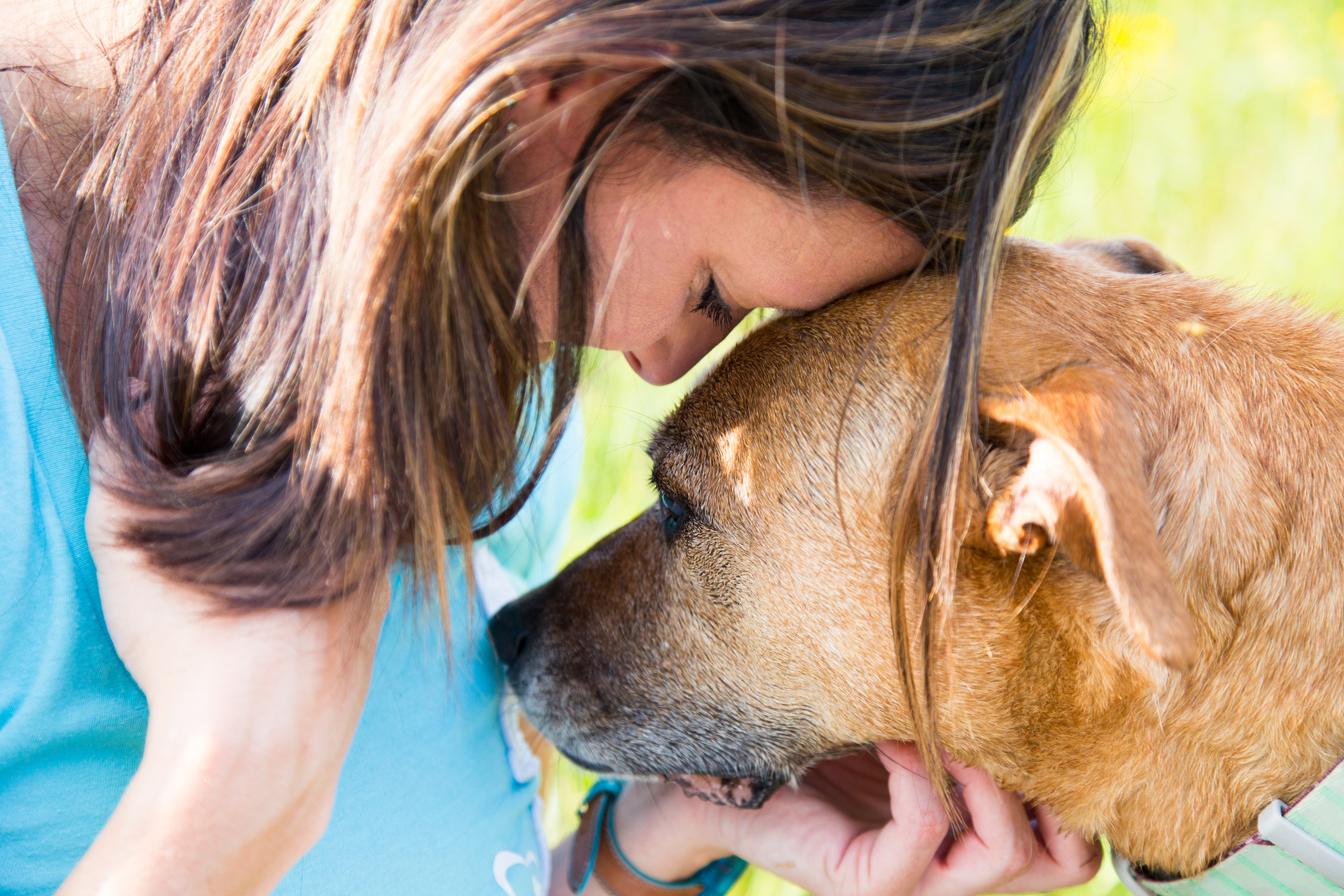 woman and dog console each other