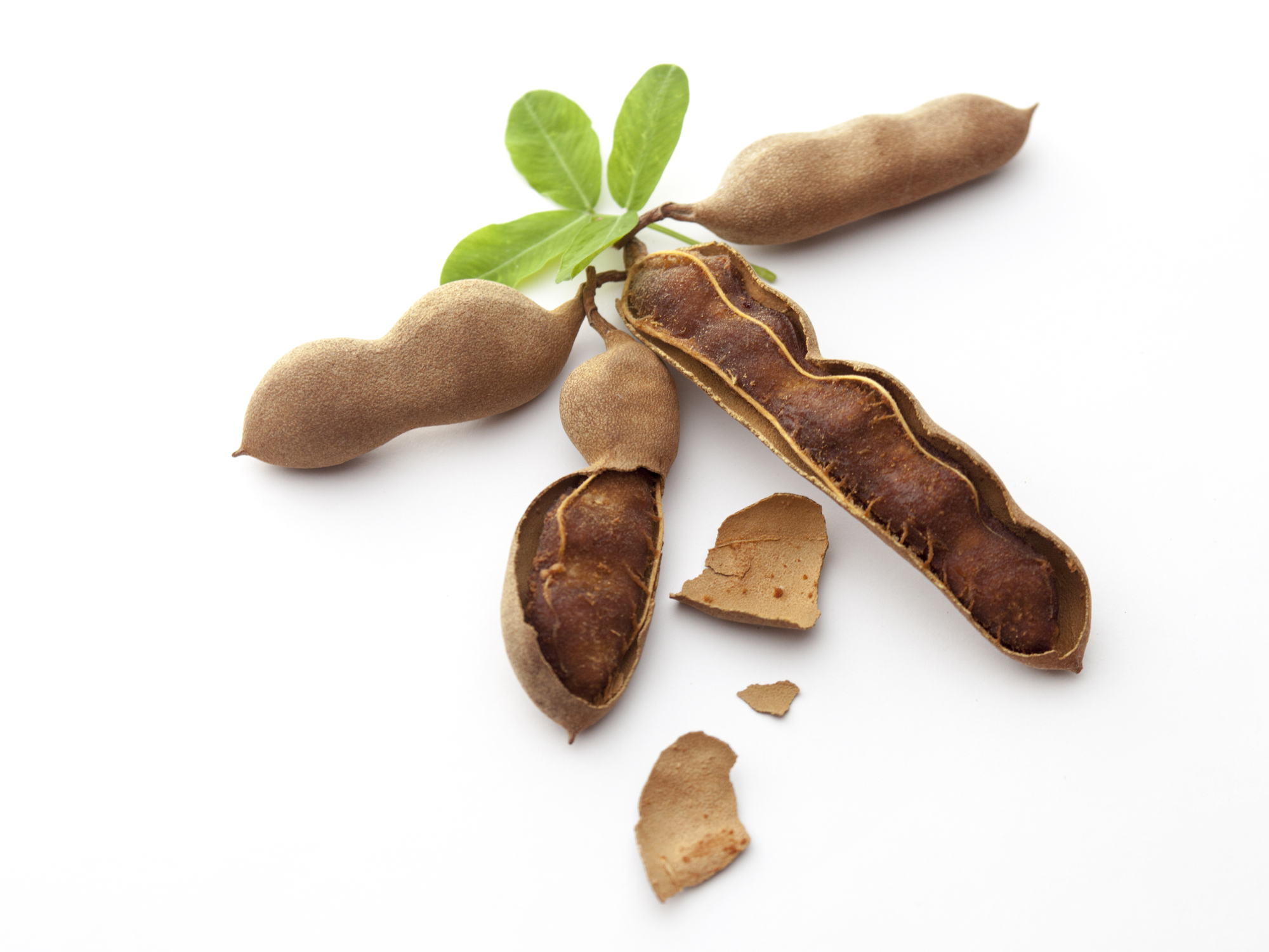 tamarind pods