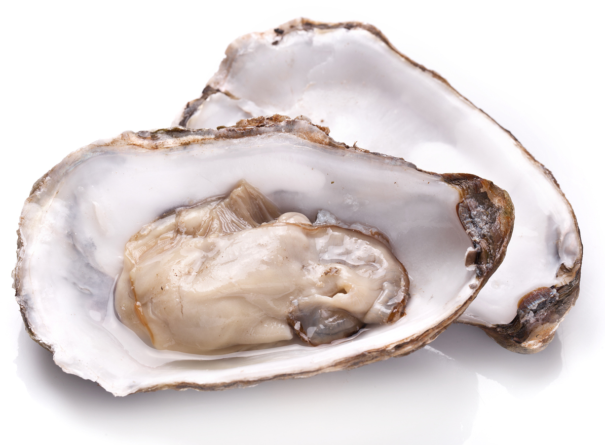 Raw oyster and lemon on a whte background.