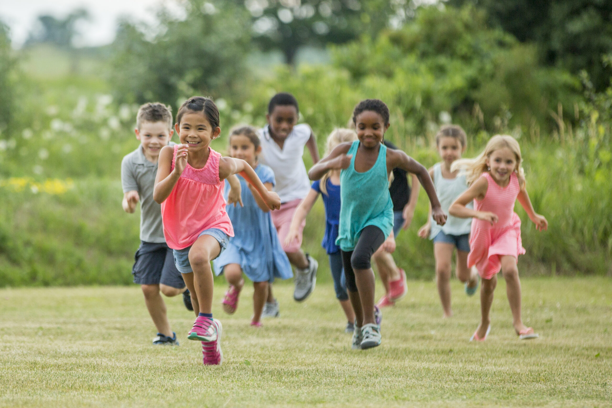 Playing Outside in a Field on a Sunny Day