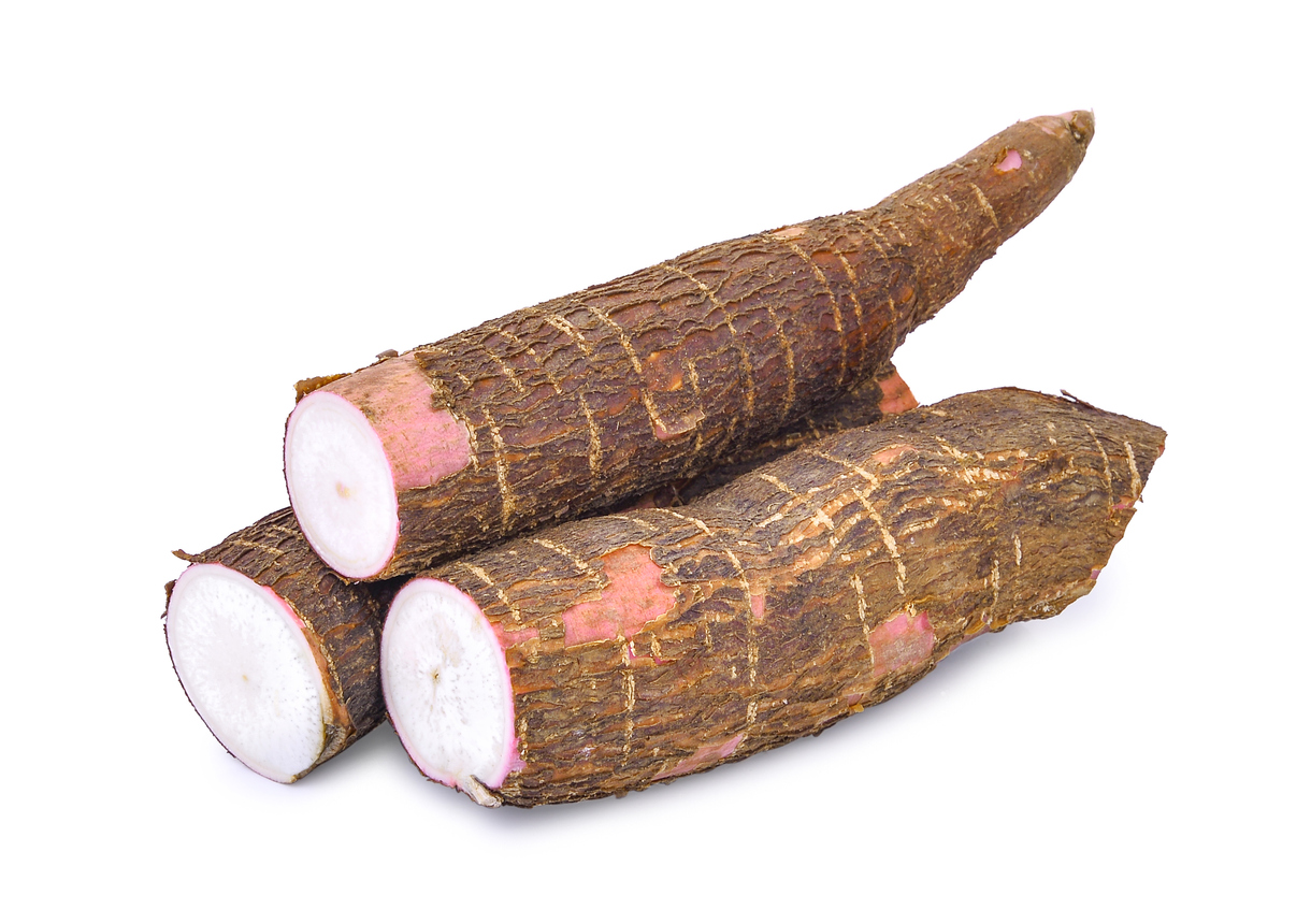 Cassava isolated on a white