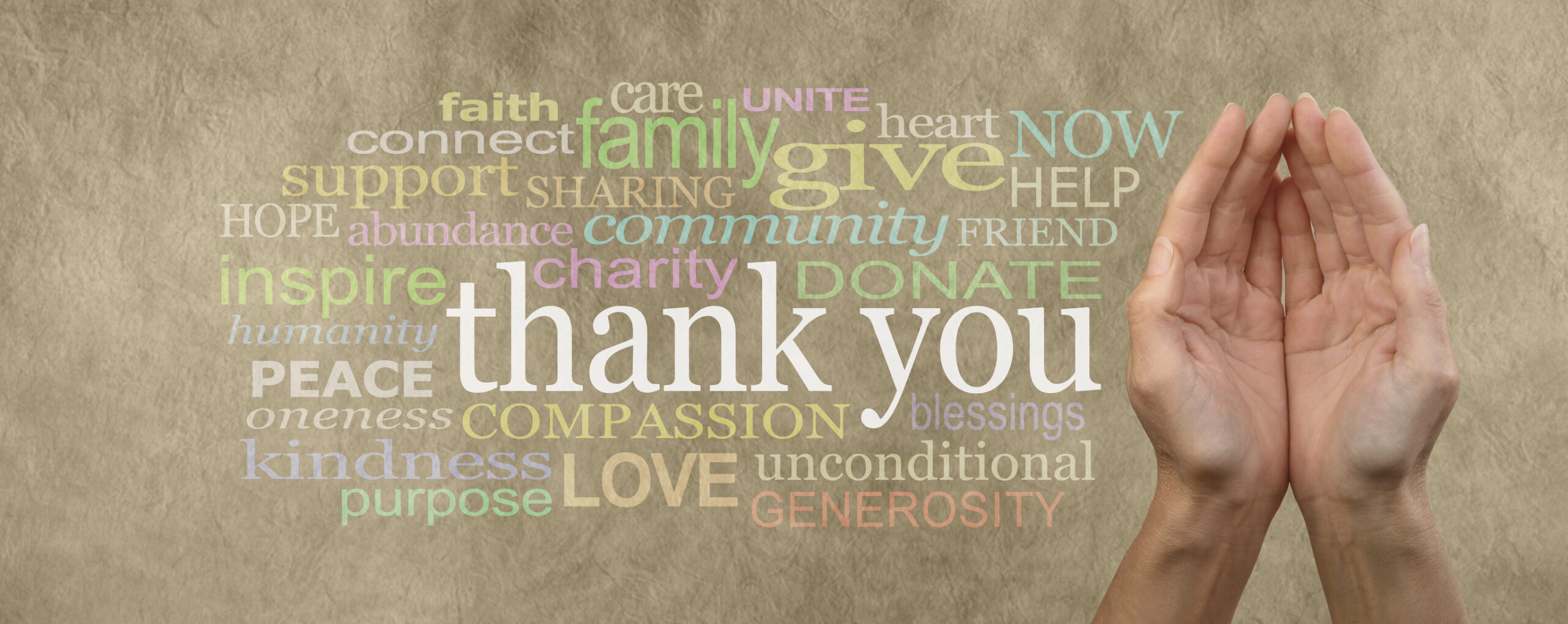 Fund Raising Campaign Website Header saying Thank You