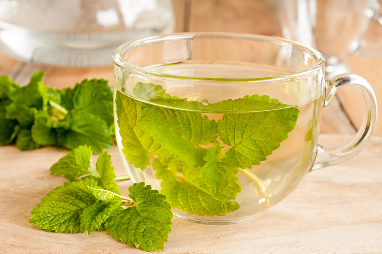 Melissa (lemon balm) tea