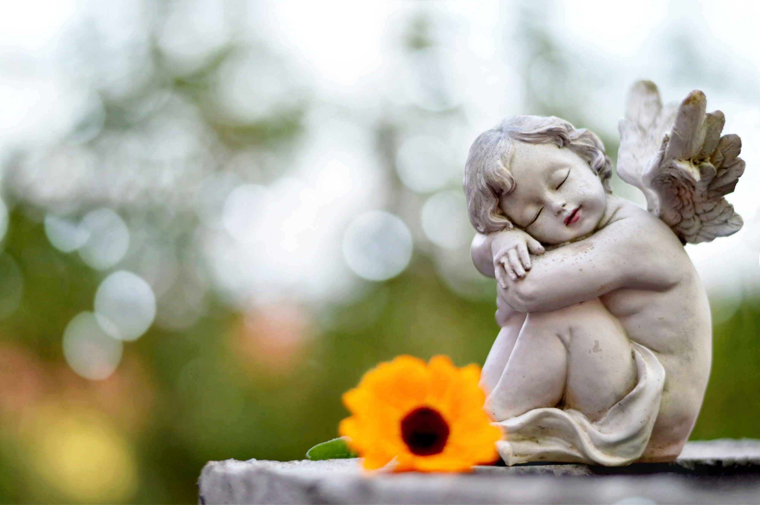 Angel guardian sleeping on the grave