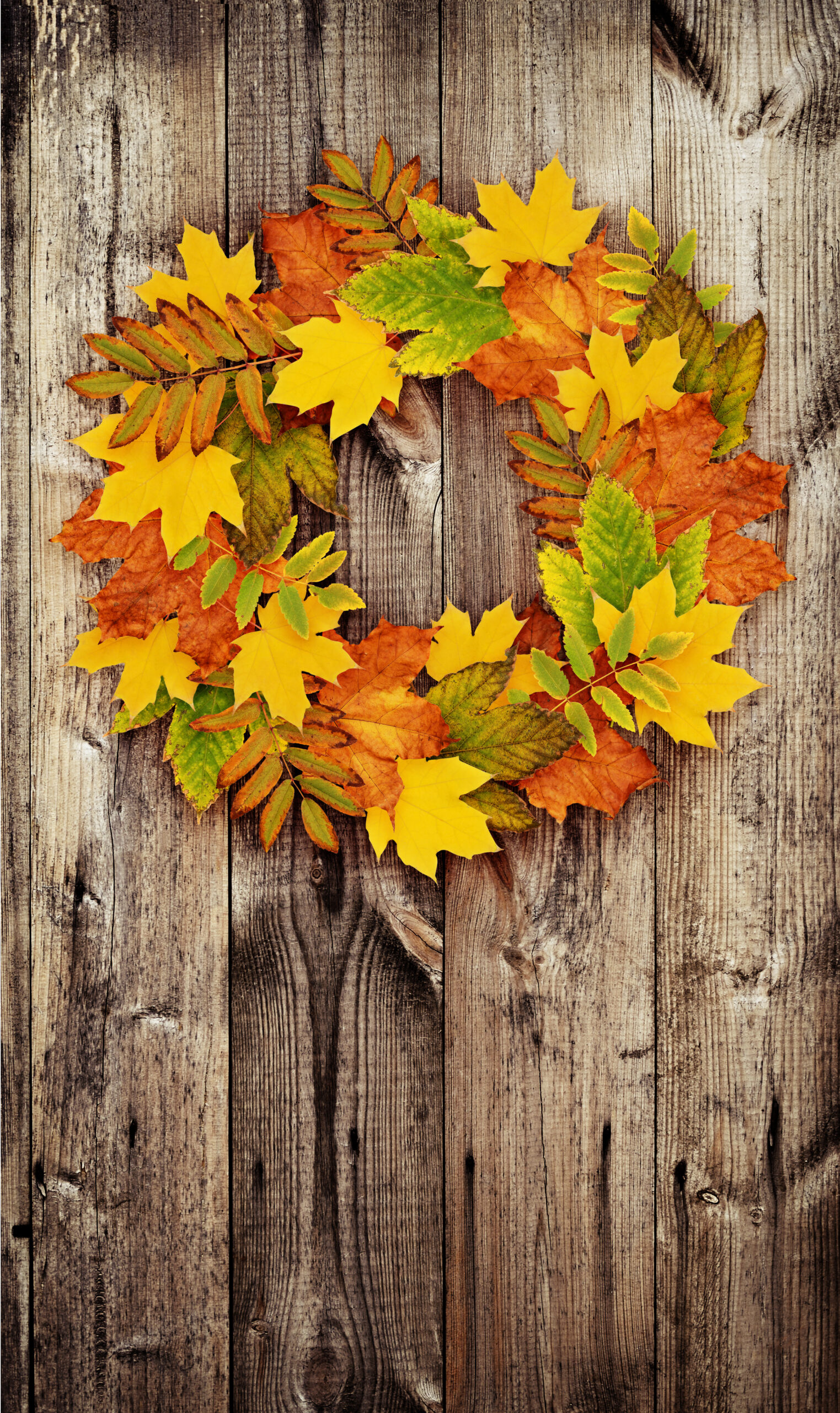 Autumn wreath from colored dry leaves on door