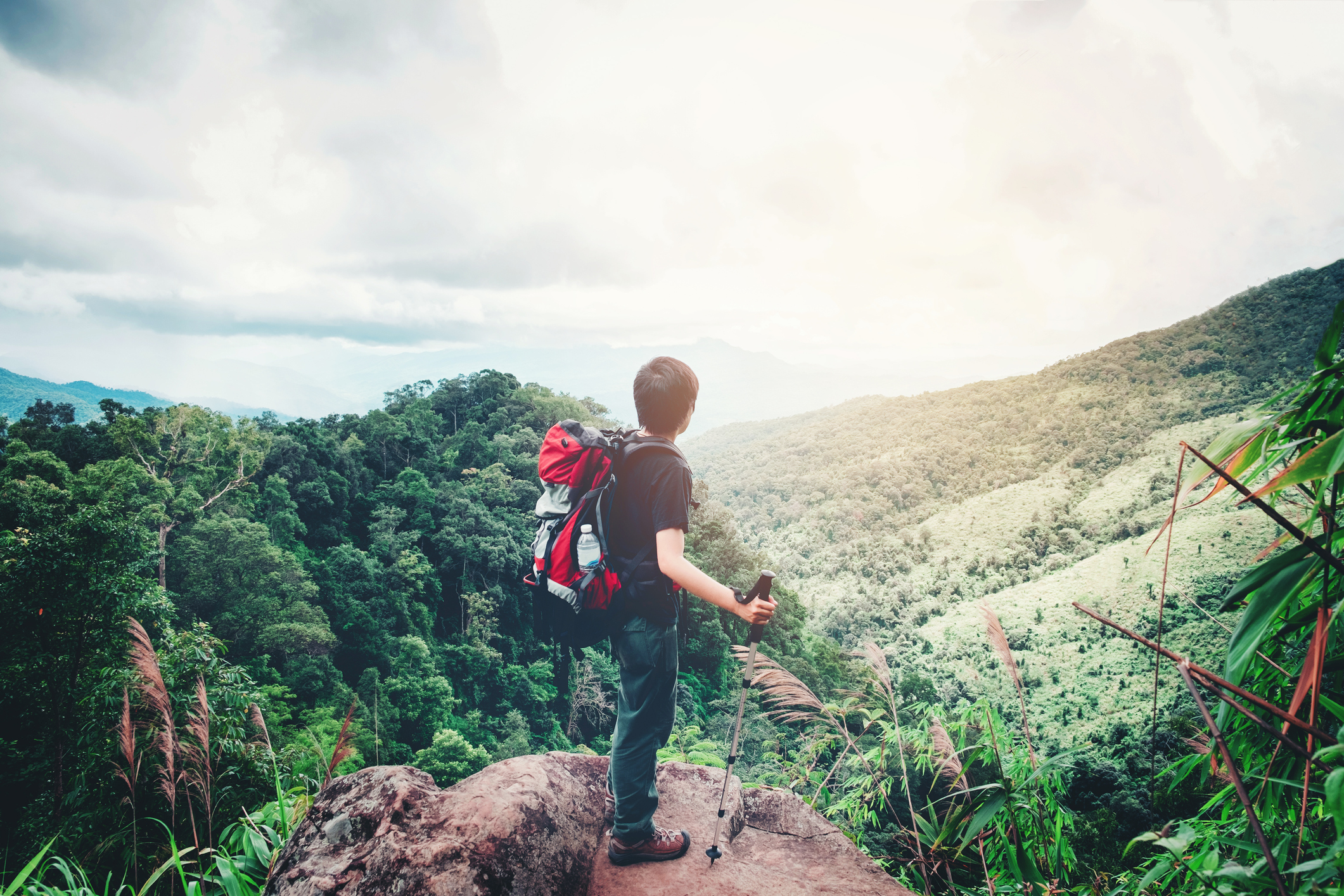 Tourist and Traveler Man with backpack the mountain  in forest