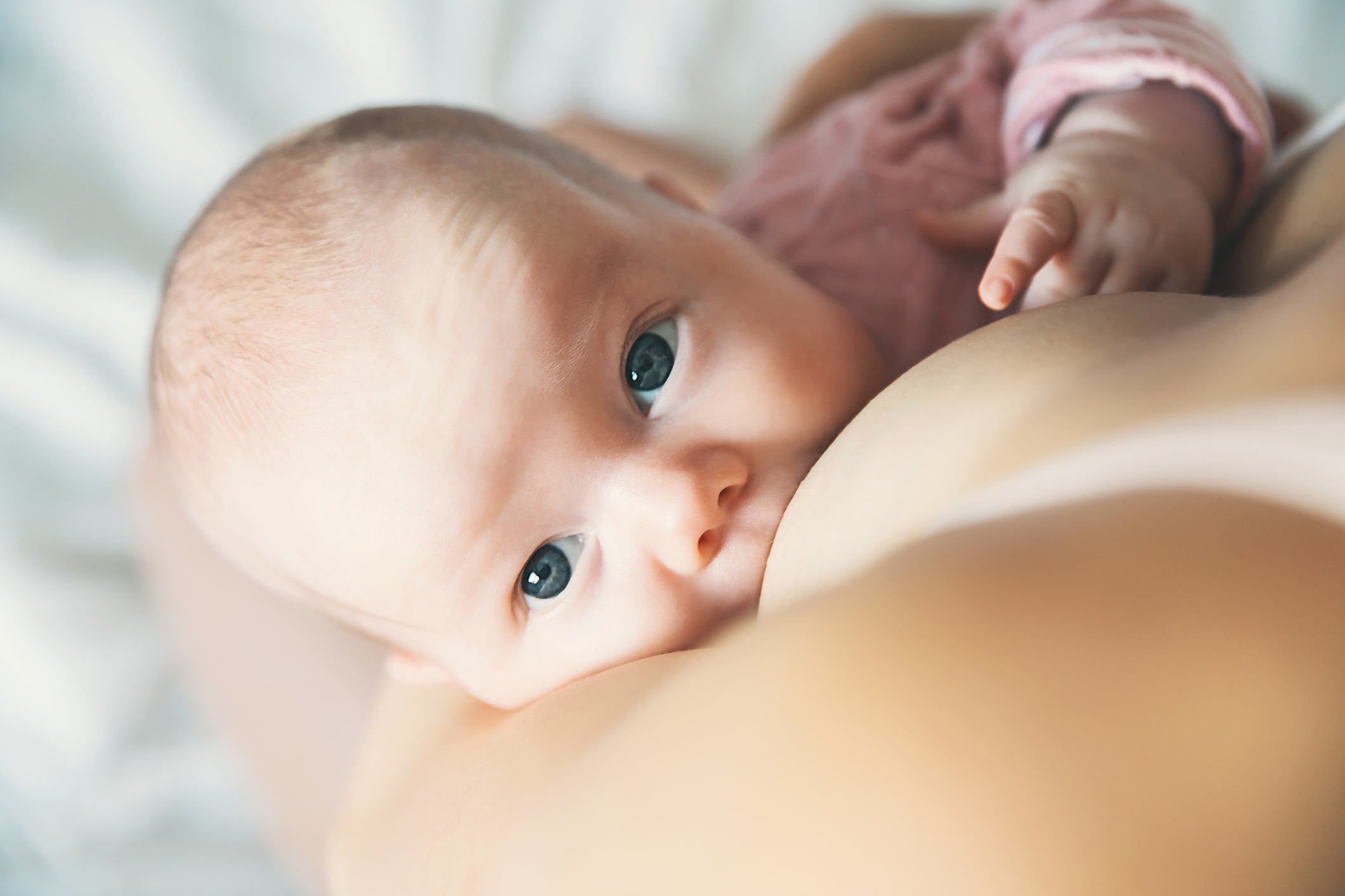 Baby eating mother's milk. Mother breastfeeding baby.