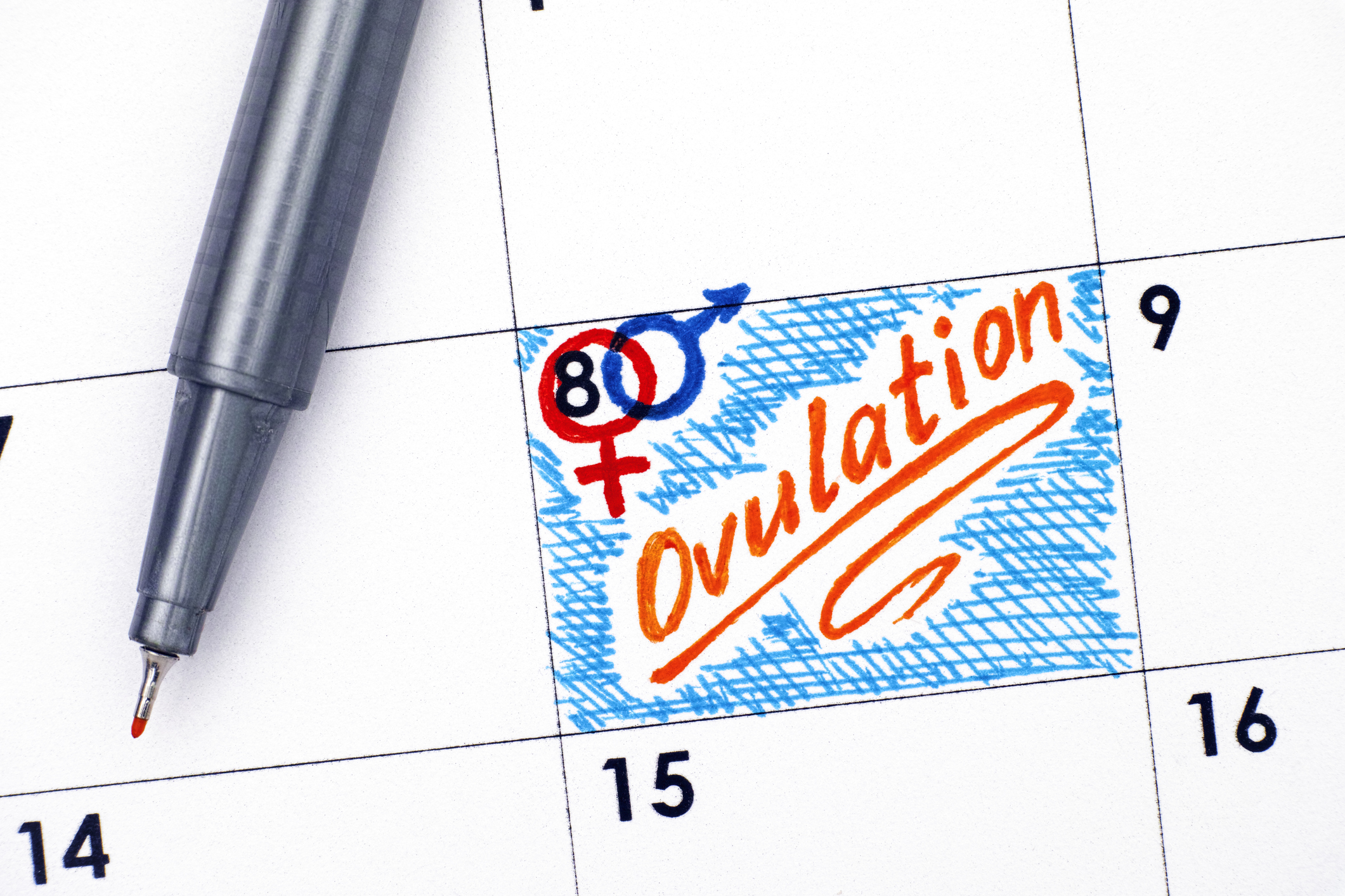 Reminder Ovulation in calendar with orange pen.