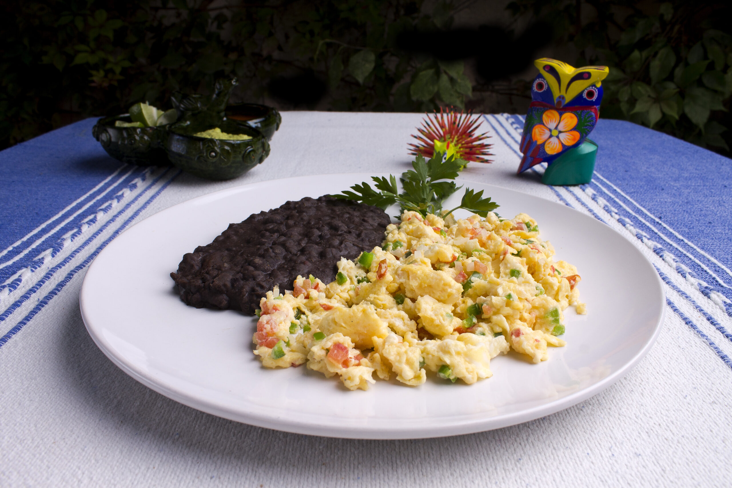 Regional Food Backgrounds, Oaxacan egg food with beans