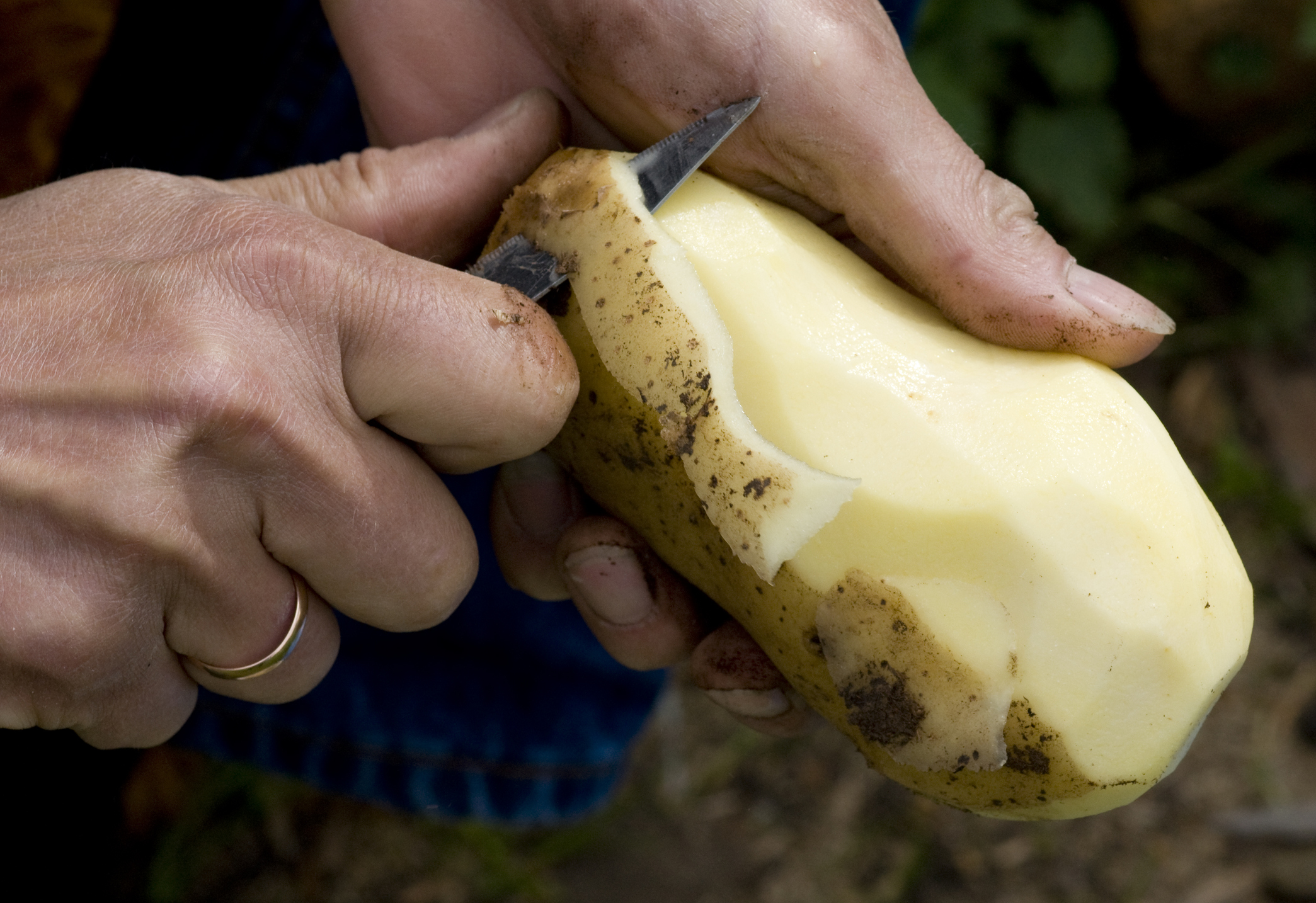 Man with gold ring peeling a large potato with a knife