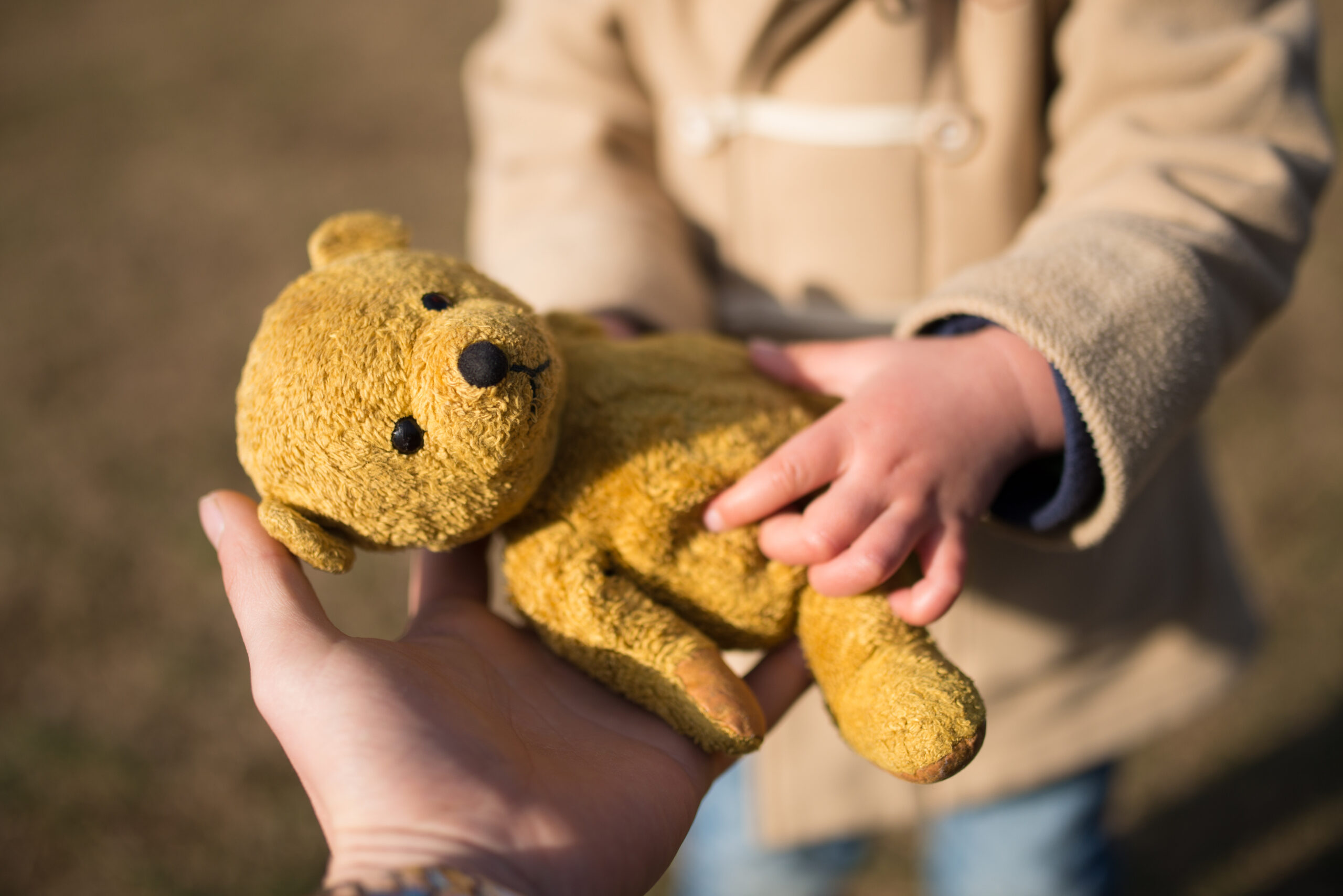 Parent and child handing a teddy bear