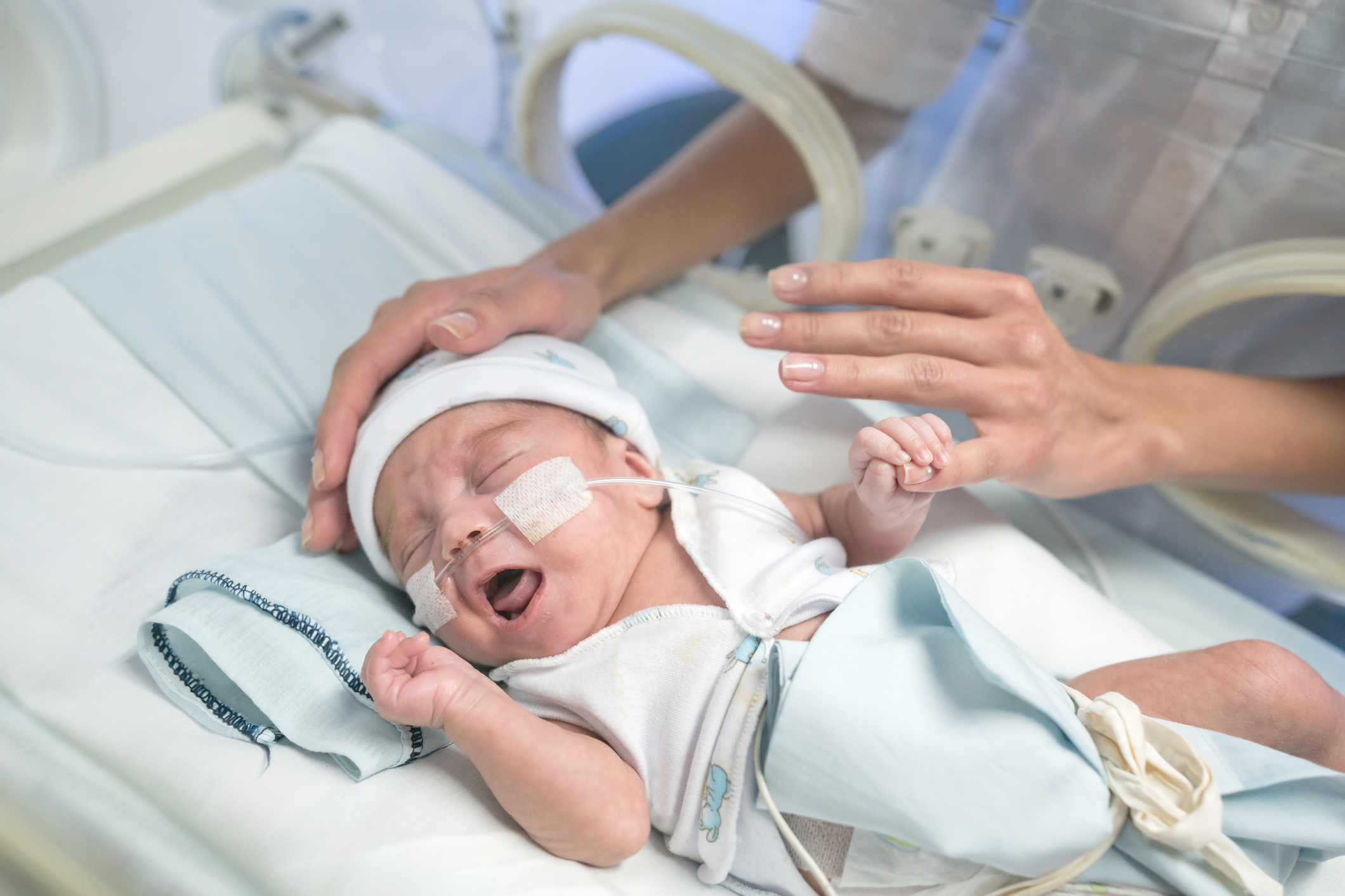 Sweet premature baby in an incubator and unrecognizable mom caressing baby trying to calm him down