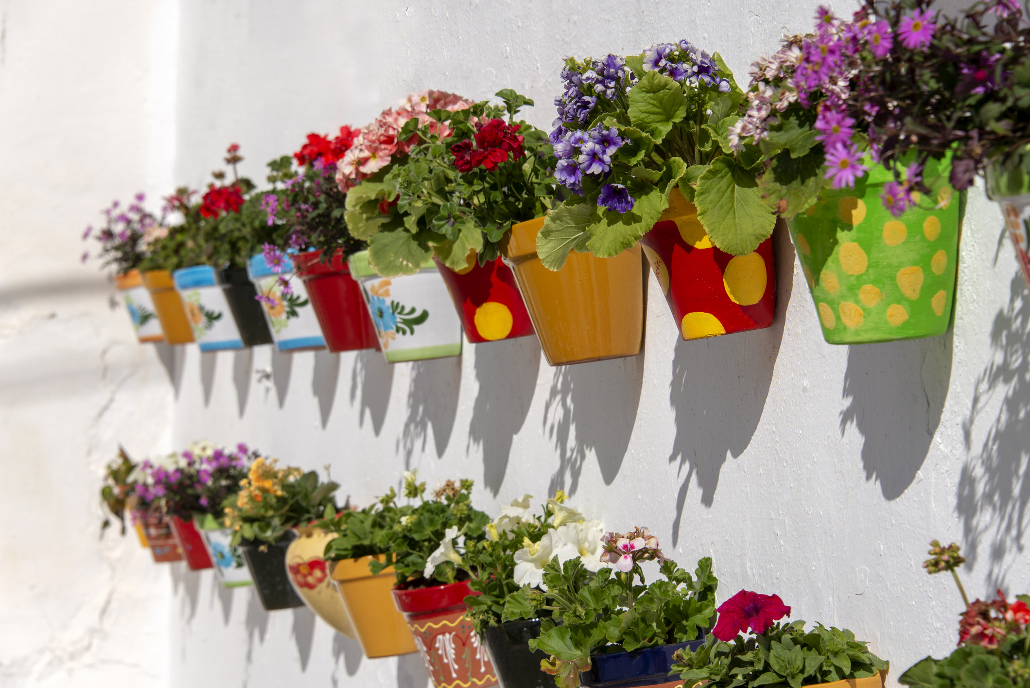 Colorful flower pots