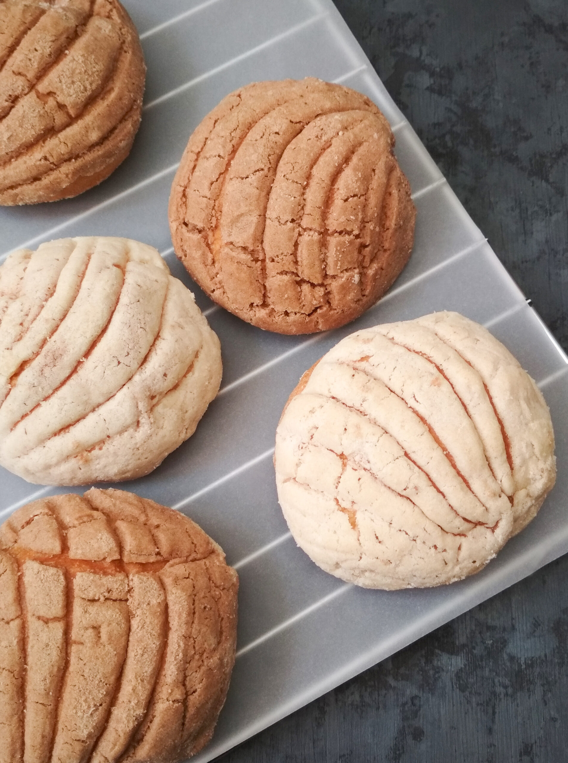 traditional sweet bread mexican food conchas