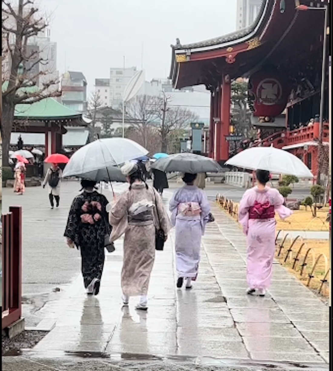 kimonos-umbrellas-1.png