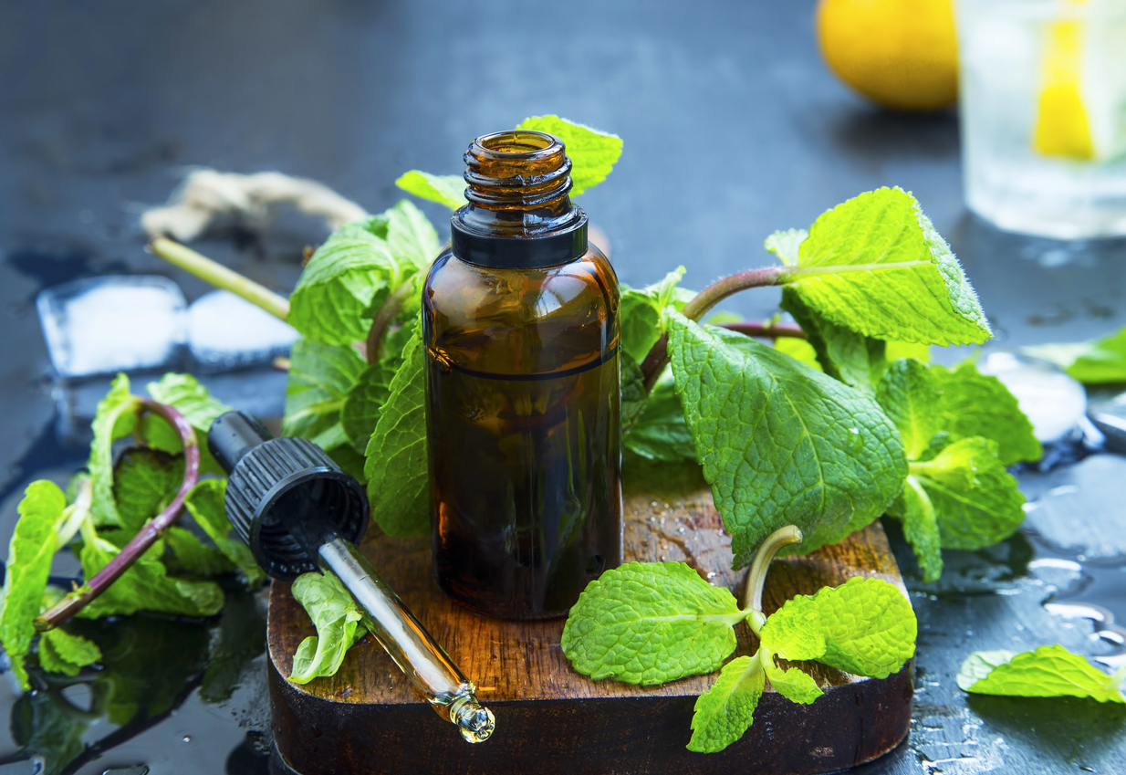 Mint essential oil in bottle .Fresh peppermint leaves with essential oil, alternative medicine