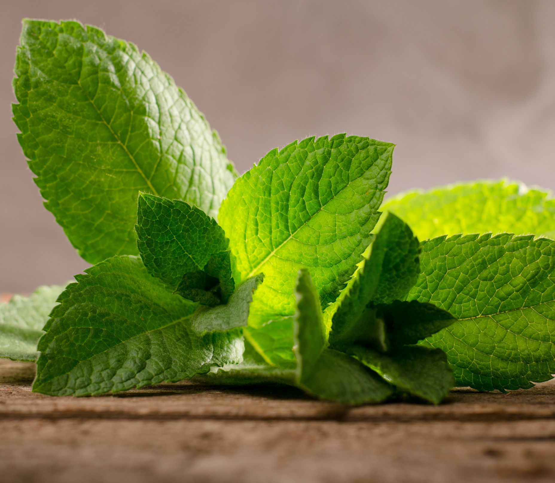 Fresh green peppermint leaves on a rustic wooden background.