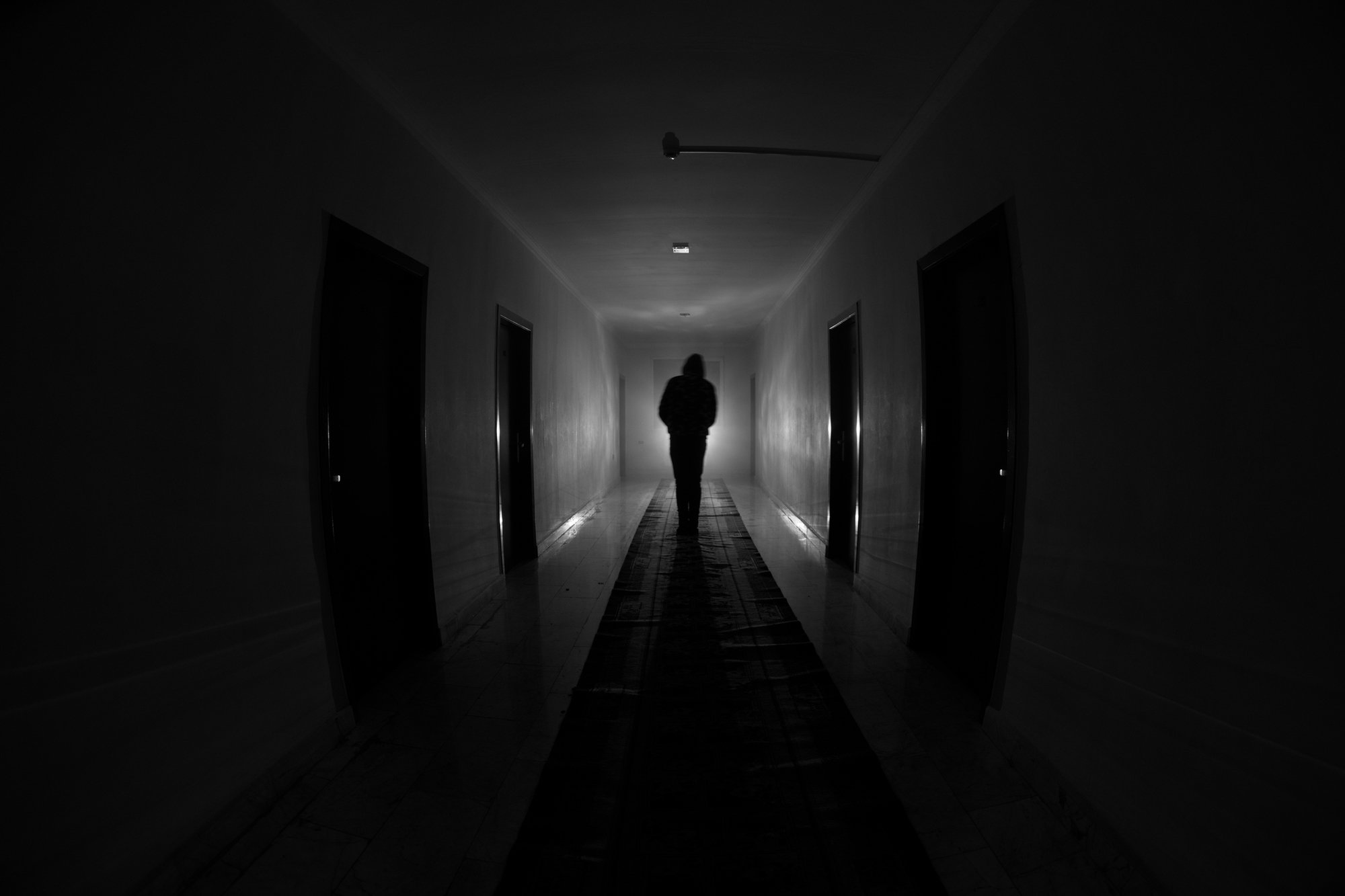 phkvwmzf481-1.jpg