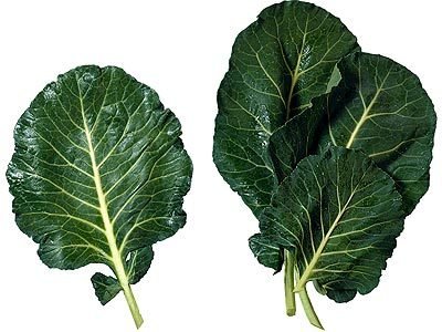 phqjz2h7kg1.jpg