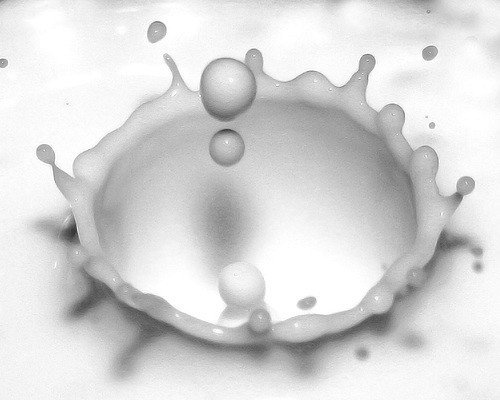 phydu5m58k1.jpg