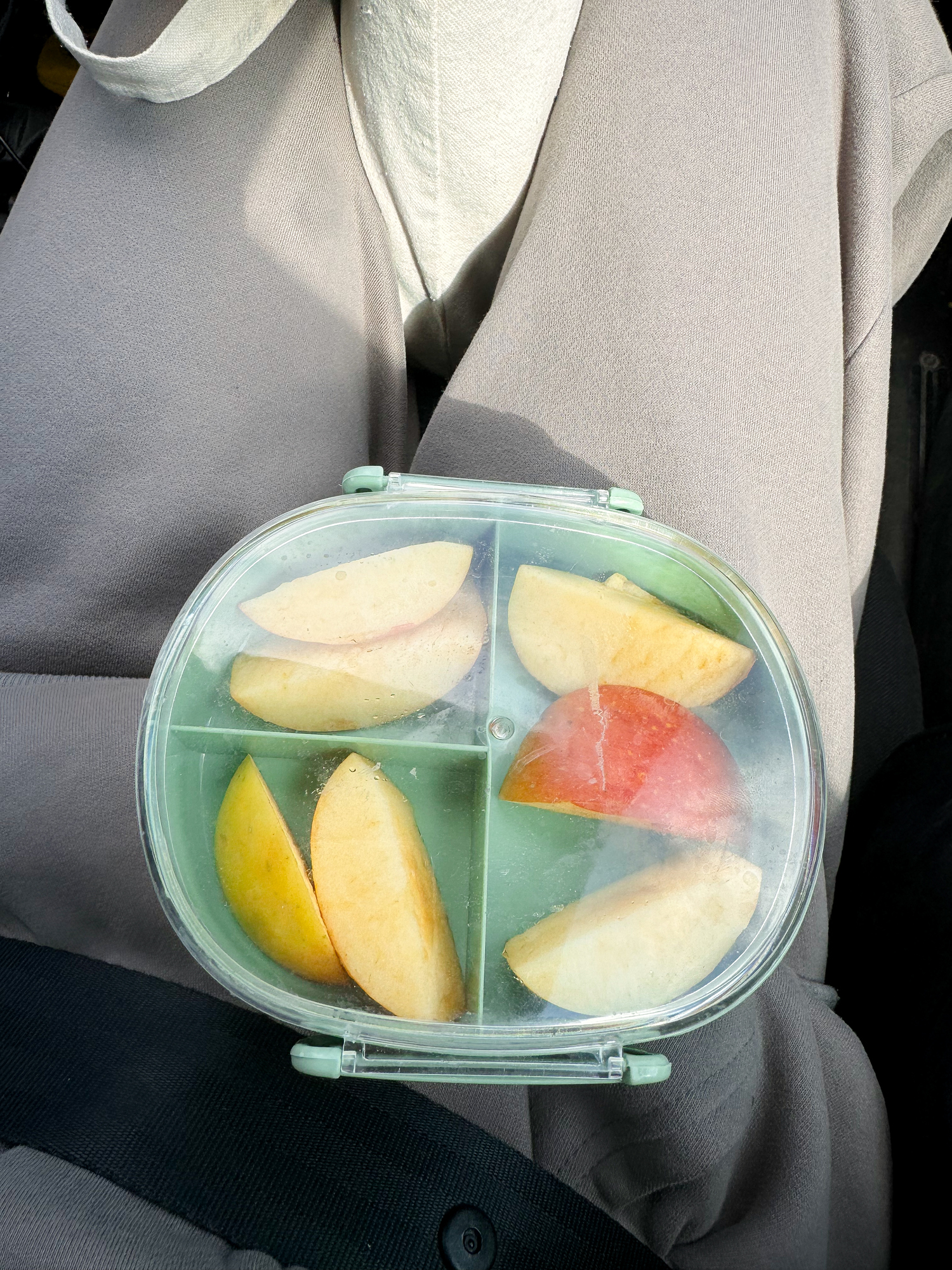 Snacks for road trips