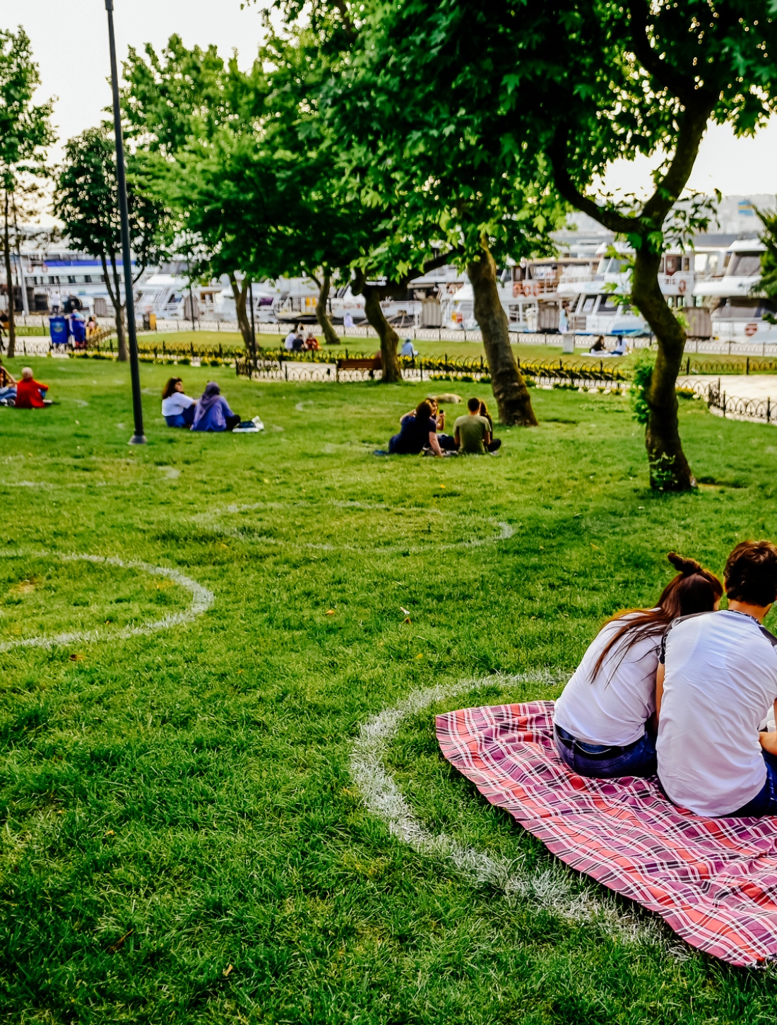 social-distance-picnic__1.jpg