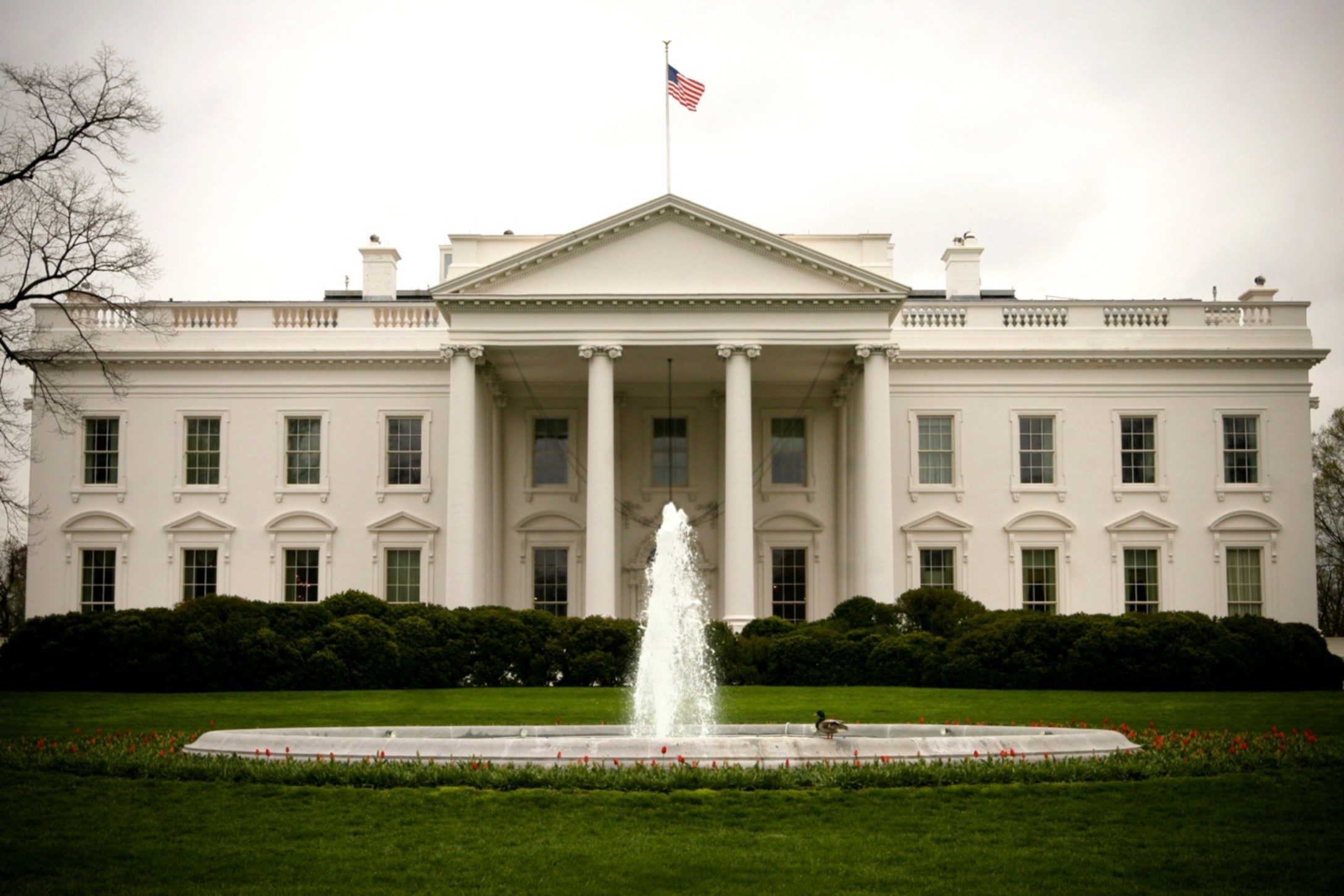 white-house-5.jpg