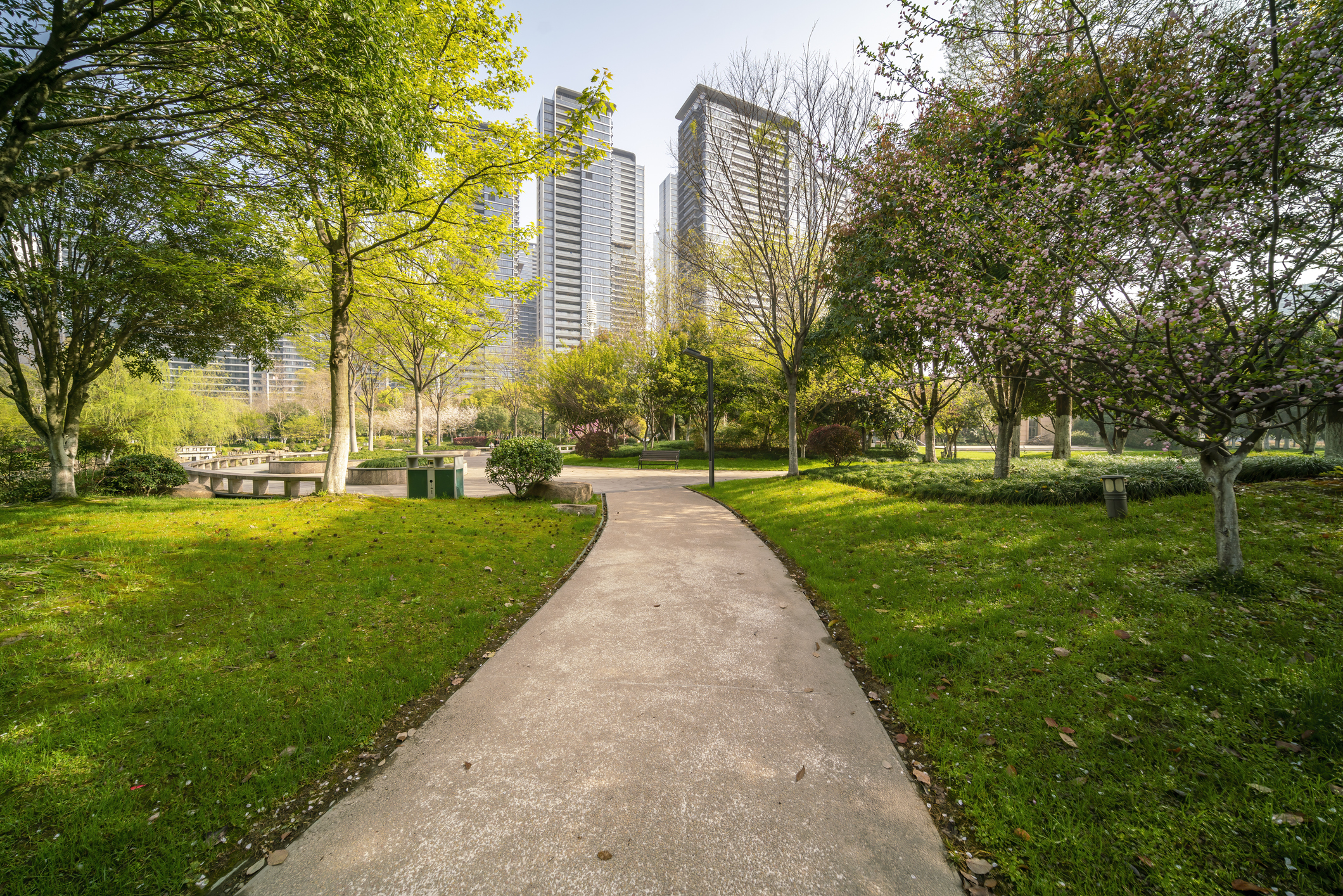 Road in a park in a residential area