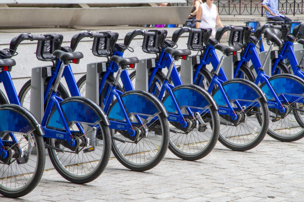 Citibike station bike rentals