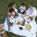 Family Having a Picnic