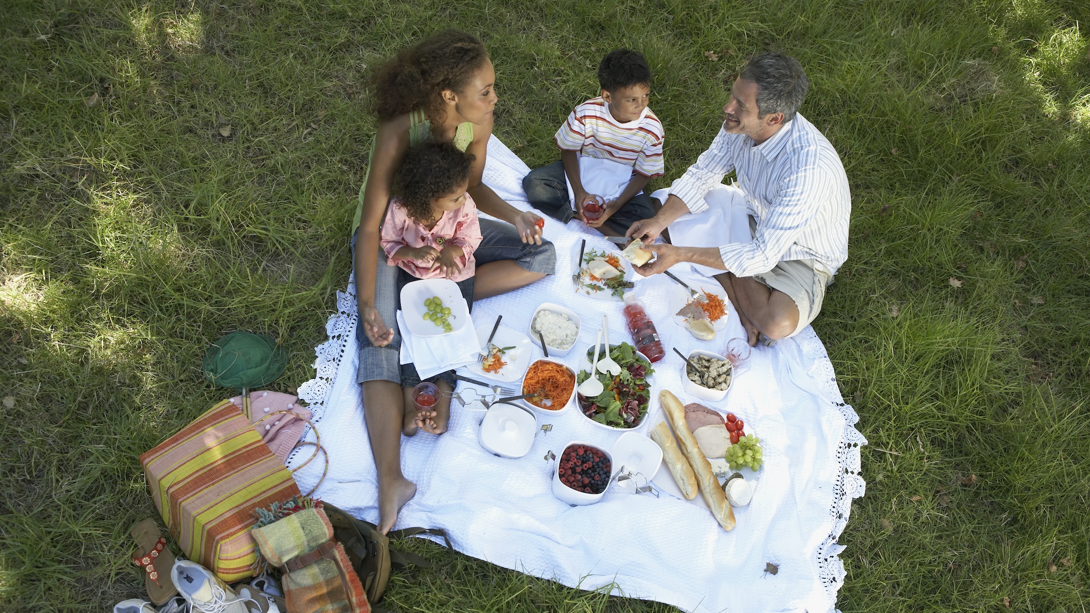 Family Having a Picnic