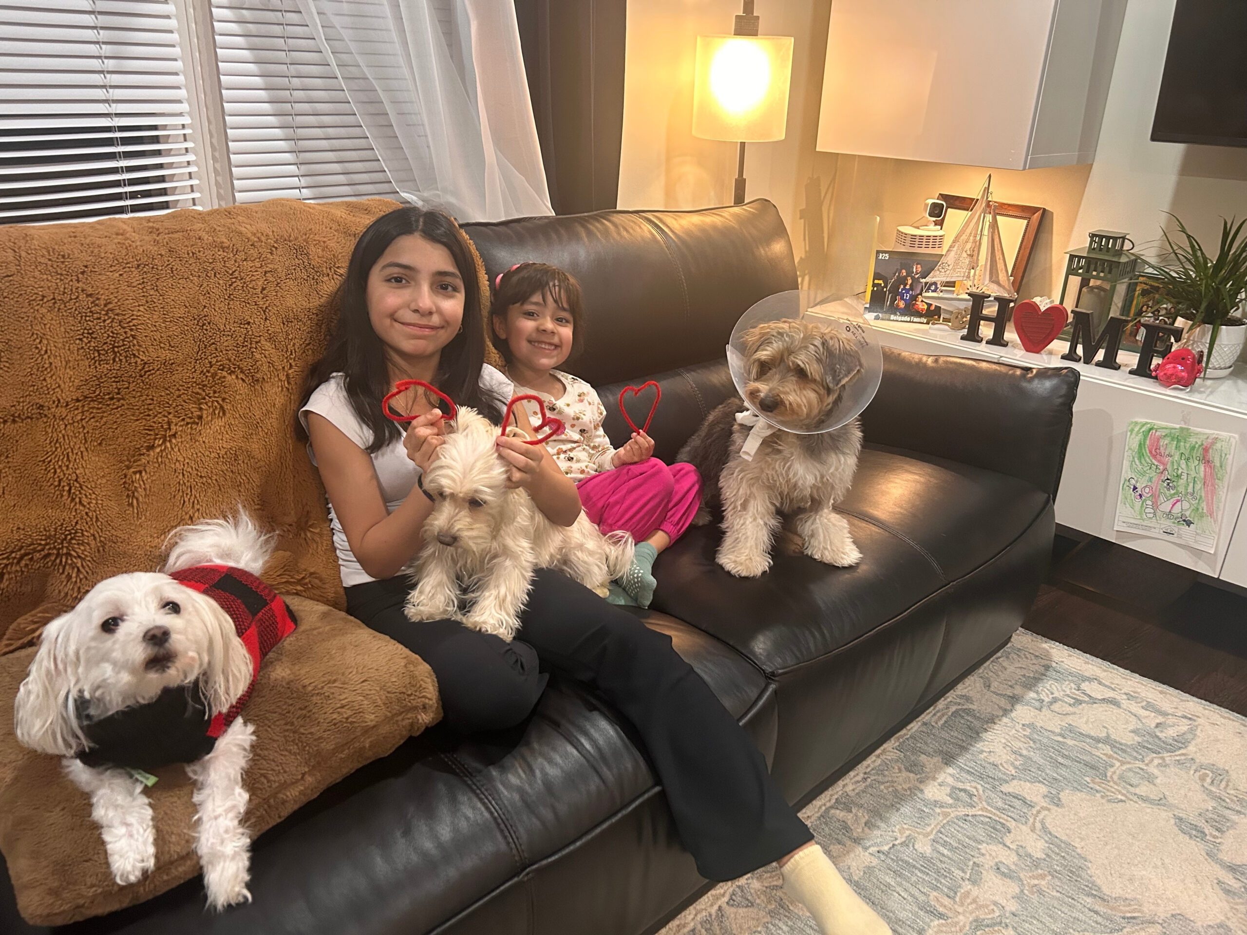 dos niñas y tres perritos en el sofa